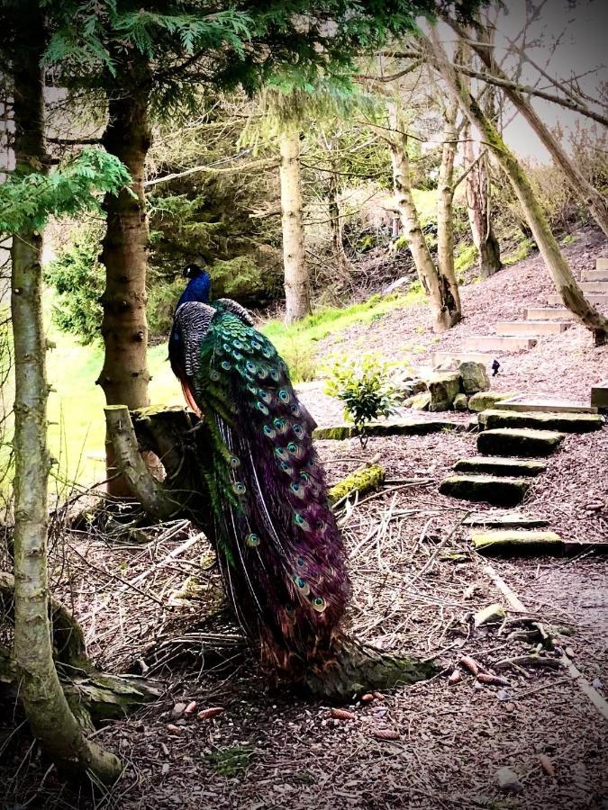 Lane House Barn Villa Todmorden Bagian luar foto