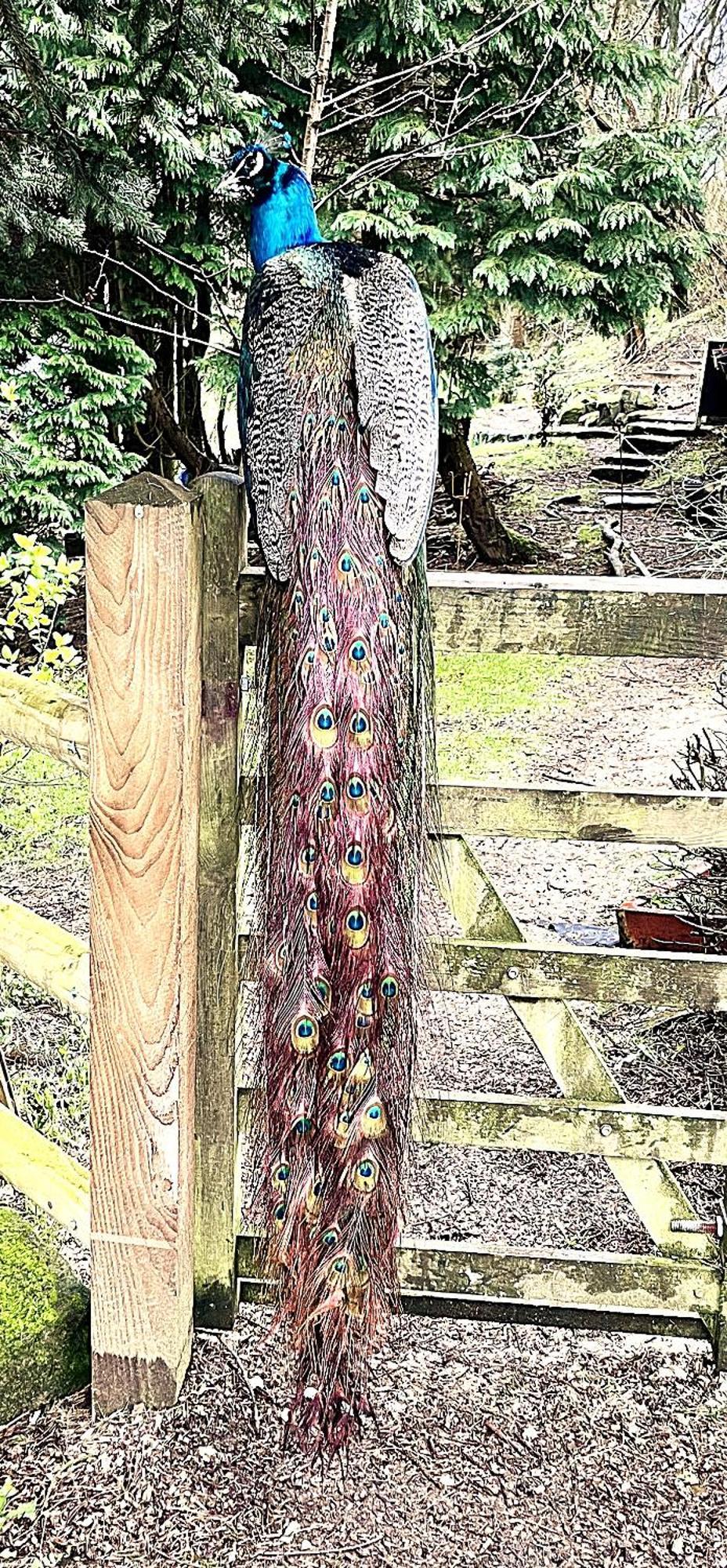 Lane House Barn Villa Todmorden Bagian luar foto